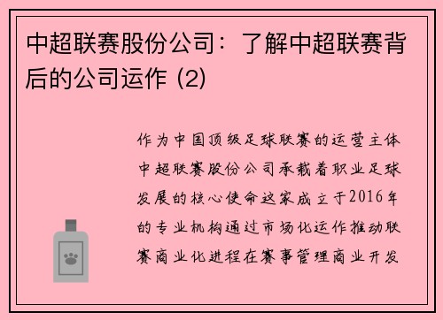 中超联赛股份公司：了解中超联赛背后的公司运作 (2)